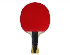 Купить Теннисная ракетка Gambler max speed carbon volt M в Ясном 