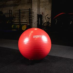 Купить Гимнастический мяч Yousteel Hard 55см в Ясном 